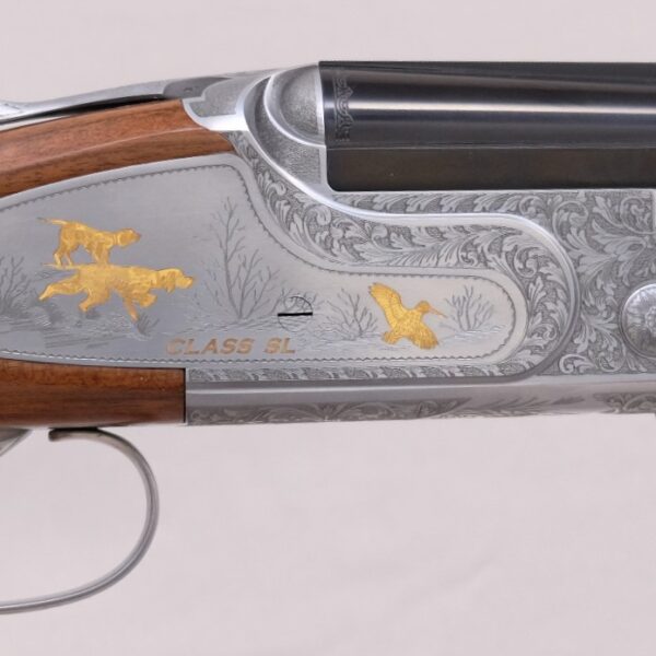 Pasalidognathus modestus 69mm 62mm Pasalidognathus modestus 69mm